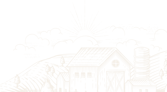 Afyon Adaklık Kurban | Akika Kurbanı | Şükür Kurbanı | Online Adaklık Kurban