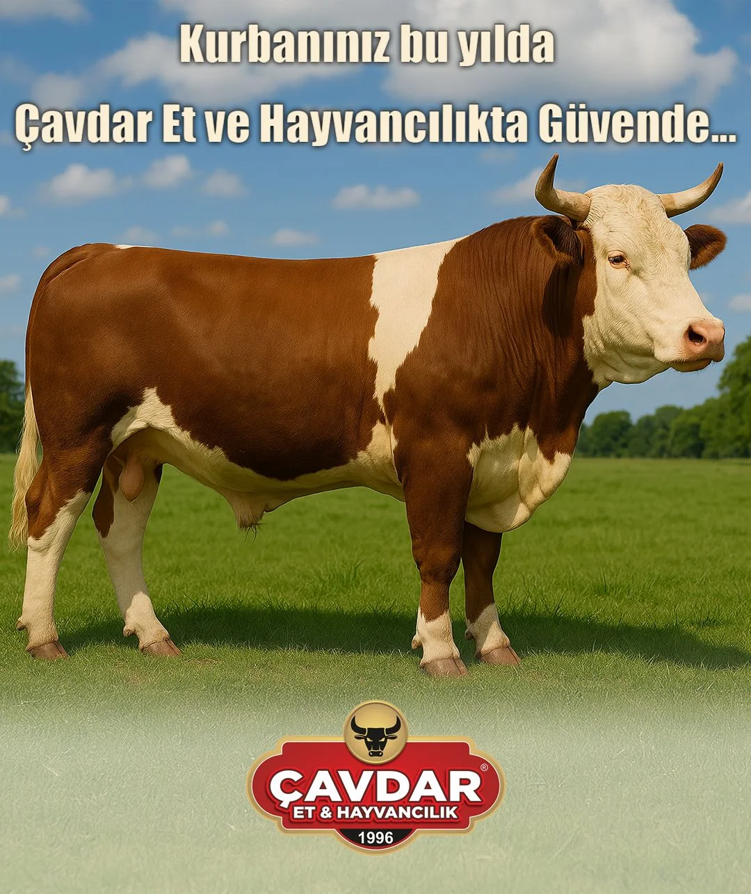 Afyon Adaklık Kurban | Akika Kurbanı | Şükür Kurbanı | Online Adaklık Kurban