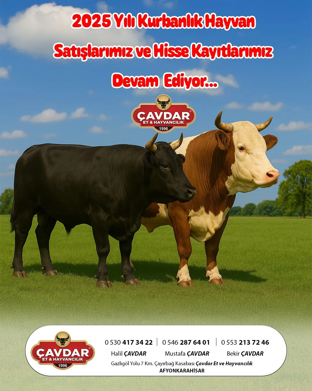 Afyon Adaklık Kurban | Akika Kurbanı | Şükür Kurbanı | Online Adaklık Kurban