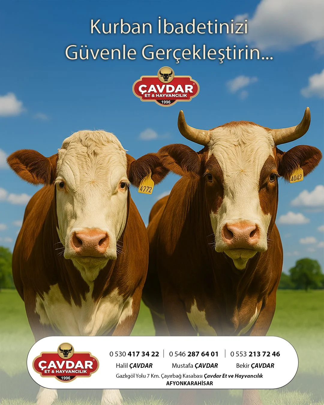 Afyon Adaklık Kurban | Akika Kurbanı | Şükür Kurbanı | Online Adaklık Kurban